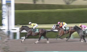 【競馬/アンタレスS】グレイトパール強すぎワロタｗｗｗｗｗｗｗｗｗｗｗｗｗｗｗ