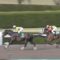 【競馬/アンタレスS】グレイトパール強すぎワロタｗｗｗｗｗｗｗｗｗｗｗｗｗｗｗ