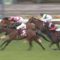 【競馬/NHKマイルC】こんなに強いケイアイノーテックで500万下負けた騎手がいるらしいwwww