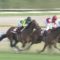 【競馬/フローラS】サトノワルキューレ直線ごぼう抜き強すぎワロタwwwwwwwwwww