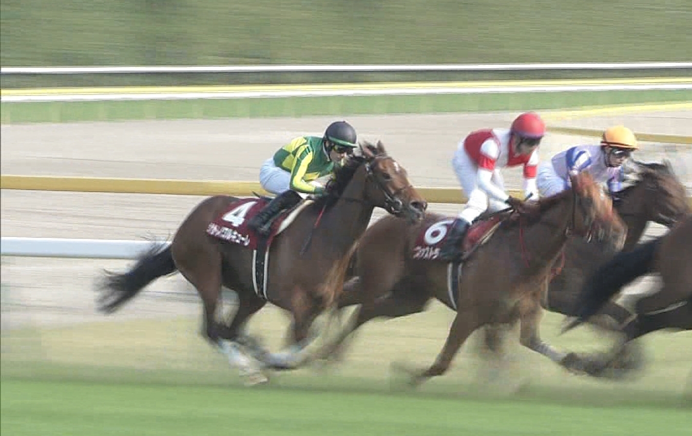 【競馬/青葉賞】デムーロ超絶糞騎乗ｗｗｗｗｗｗｗｗｗｗｗｗｗ