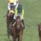 【競馬】サトノワルキューレがM・デムーロ、カンタービレは田辺とコンビでオークスへ