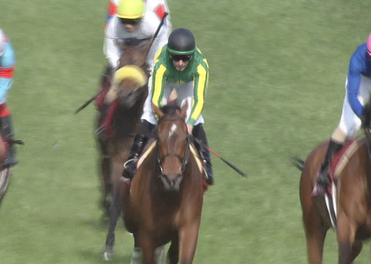 【競馬】阪神５Ｒ・２歳新馬サトノシャロームが満を持してデビュー！ホープフルステークスの資金増に！