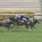 【競馬】サトノワルキューレはミッドサマーフェア級の逸材だと思う