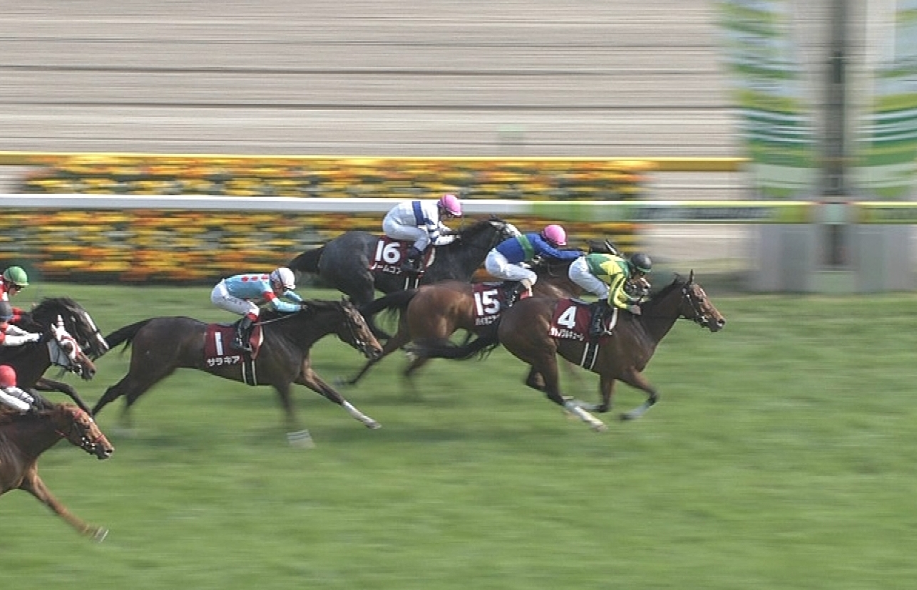 【競馬】サトノワルキューレはミッドサマーフェア級の逸材だと思う