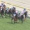 【競馬/フローラS】2着パイオニアバイオ←13番人気柴田善臣wwww