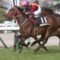 【競馬】ホウオウドリーム上がり3F32.7、母メジロドーベルの血が本格化www