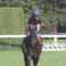 【競馬】ディープインパクト産駒が最速1600勝