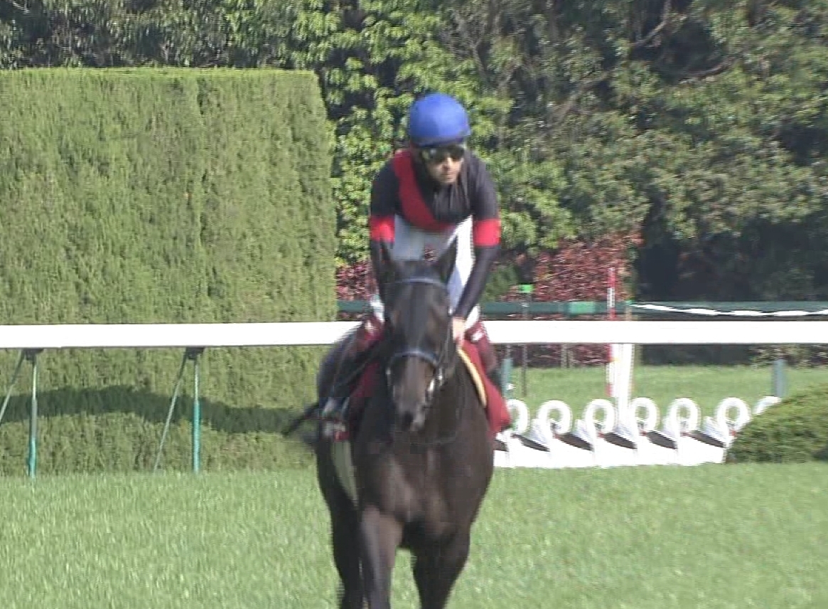 【競馬】福永「僕からしたらハミを噛んでますけど何か？って感じ。豊さんは手綱が長い」