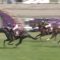 【競馬/マイラーズC】サングレーザー単勝6.8倍ついてるｗｗｗｗｗｗｗｗｗ