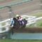 【競馬】朝のNHKニュースおはよう日本でオジュウチョウサンの特集が放送される