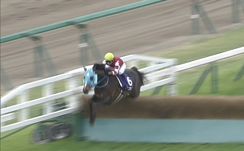 【競馬】オジュウチョウサンぶっこんでもok?