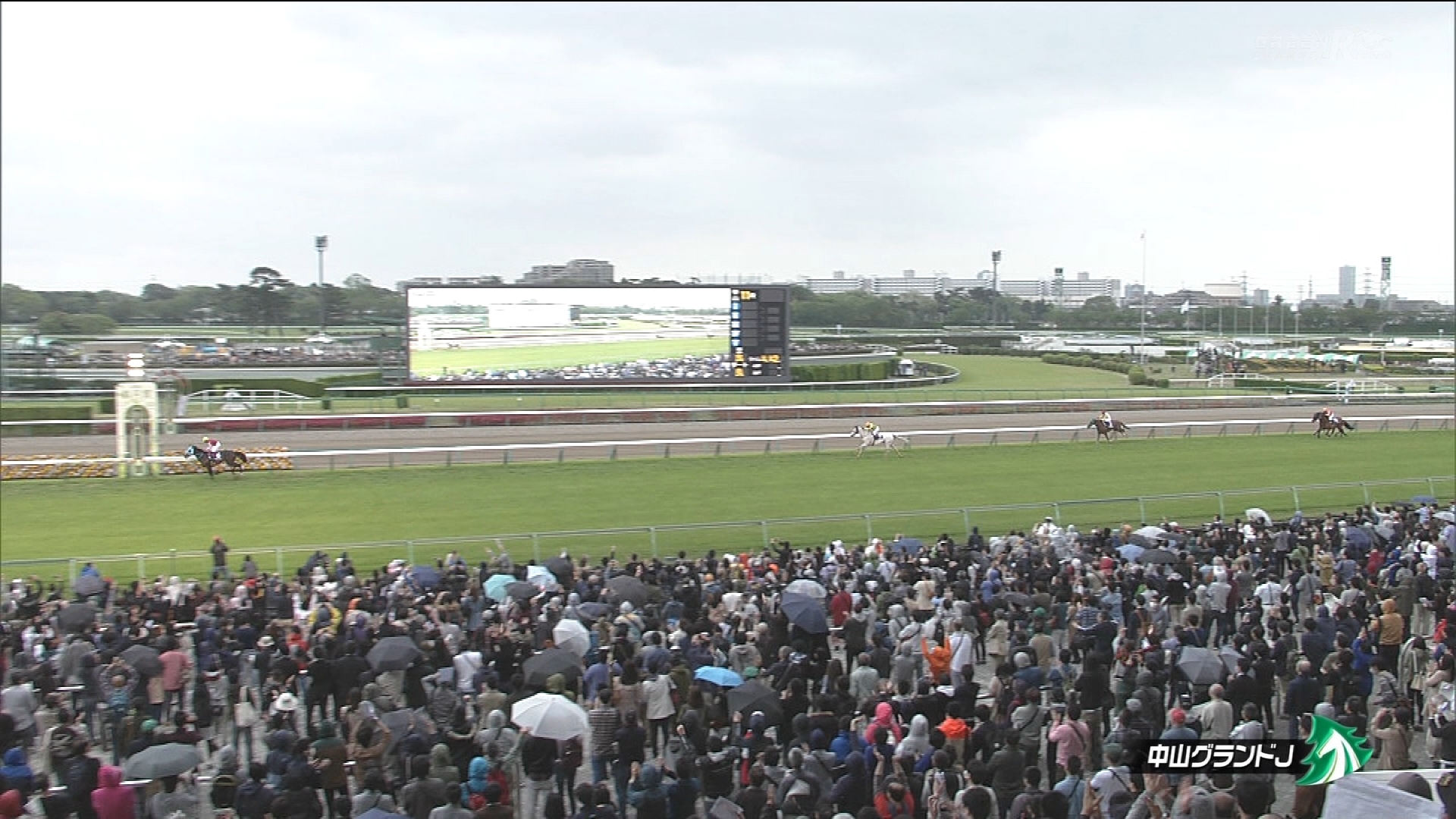 【競馬】今週の中山開催は中止にするべき