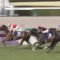【競馬】大阪杯ペルシアンナイト単勝買ってた者だけど