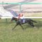 【競馬/大阪杯】悲報‥ゴールドアクター、一頭大きく遅れてゴール