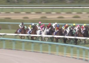 【競馬/大阪杯】戸崎圭太さん、サトノダイヤモンドを飛ばす