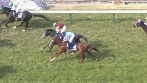 【競馬/大阪杯】シュヴァルの大敗を三浦のせいにする奴www