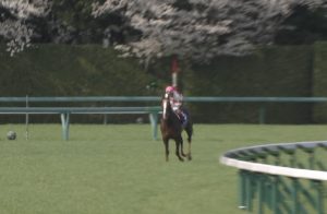 【競馬】大阪杯入場者数、前年比84.3％