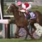 【競馬】春2戦秋3戦？ぬるいローテはやめろ！