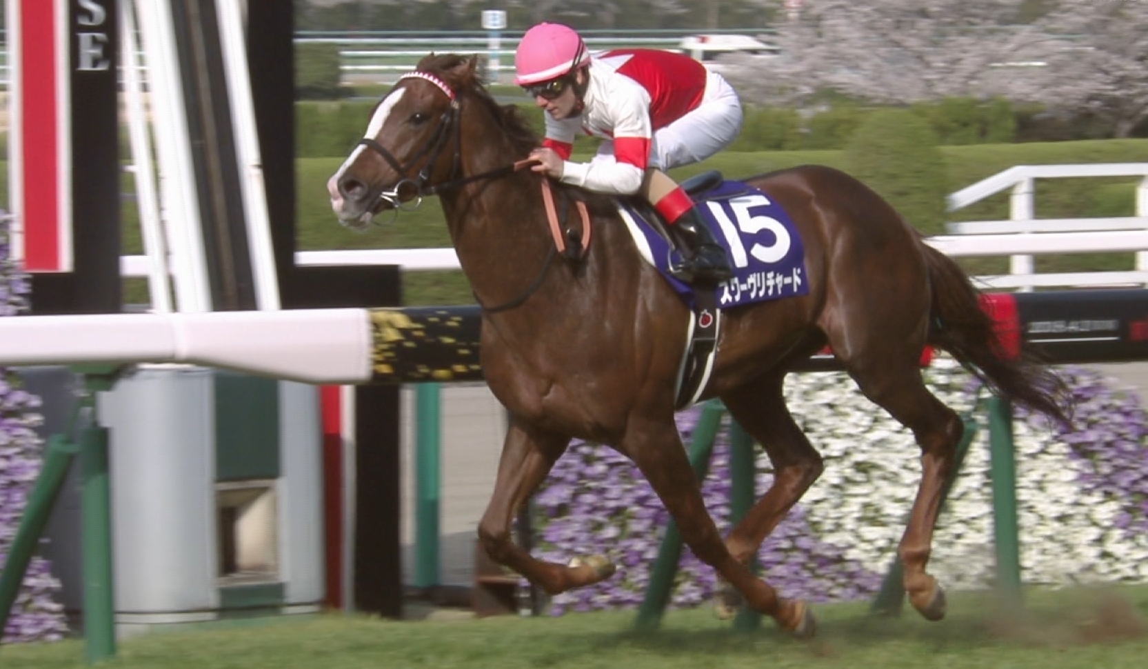 【競馬】春2戦秋3戦？ぬるいローテはやめろ！