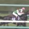 【競馬/大阪杯】またデムーロがやらかしててワロタｗｗｗｗｗｗｗｗｗｗ → 40秒後‥