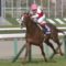 【競馬/天皇賞春】スワーヴリチャードはなぜ春天から逃亡したのか？