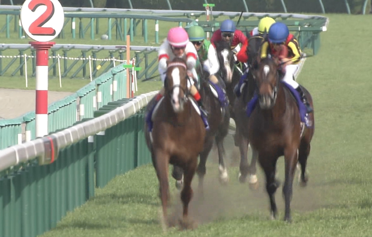 【競馬】あれ、ひょっとして今年の4歳馬って言われてたほど強くなくて5歳馬は思ったより強いんじゃね？
