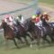 【競馬】トリオンフの騎手は誰になるんだよ‥武豊→マカヒキ、川田→サトノダイヤモンド