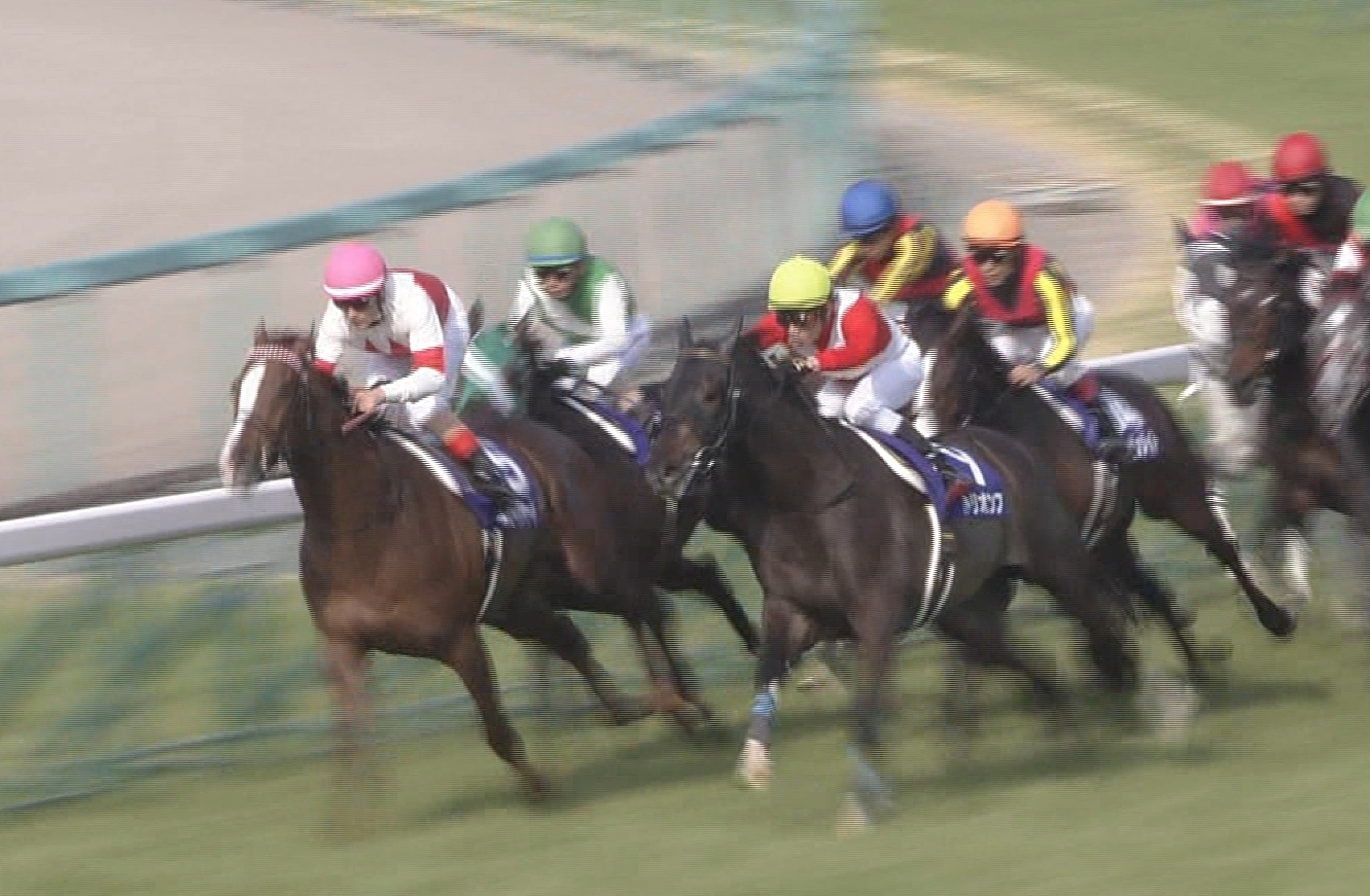 【競馬/大阪杯】8着 トリオンフ 田辺騎手「後ろの馬が勝つにはスローペースすぎて厳しかった」