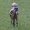 【競馬】なぜフサイチパンドラの産駒はGⅠ勝って、カワカミ、トゥザ、スイープ、ダンスの産駒はGⅠ勝てないのか