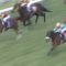 【競馬/秋華賞】ウォッカやブエナでさえ差し損ねた秋華賞でアーモンドアイが勝てるわけないだろ