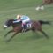【競馬/ジャパンC】アーモンドアイの馬体重 調教後484 今472