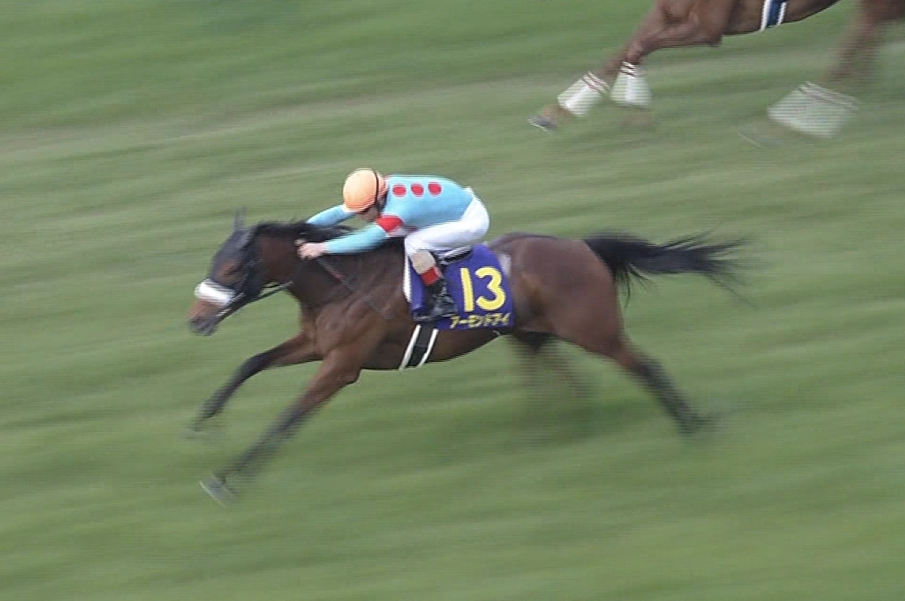 【競馬/秋華賞】アーモンドアイ美浦坂路 49.7-37.0-12.5