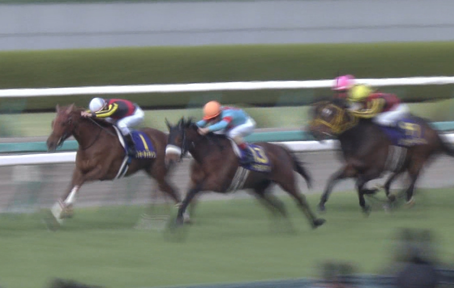 【競馬/オークス】ラッキーライラック助手「アーモンドアイはそこまで強くない」