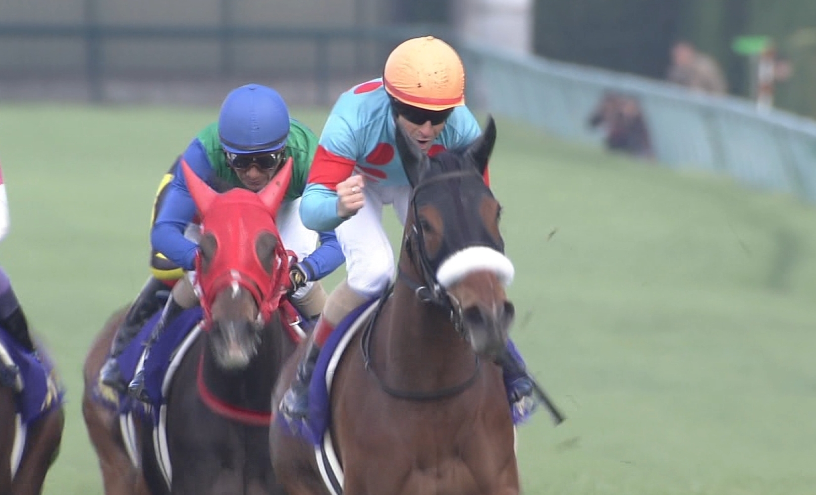 【競馬】豪州G1コックスプレートの招待状が日本馬4頭に届く