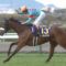 【競馬】ロードカナロアの種付け金額はどこまで上がるのか？