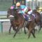 【競馬/桜花賞】アンカツのレース回顧「アーモンドアイは怪物級の牝馬やった」