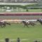 【競馬/神戸新聞杯】エポカドーロはマイラーだな