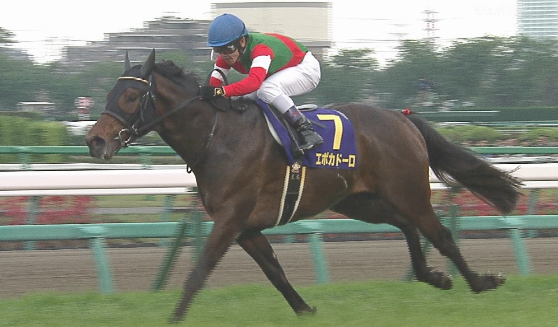 【競馬】エポカドーロって生きてるの？