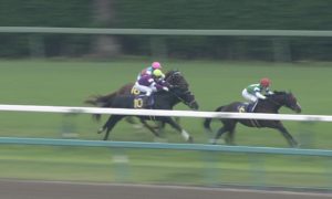 【競馬/菊花賞】菊花賞にエタリオウのペースメーカーが登録してるんだけど… 【競馬/菊花賞】菊花賞にエタリオウのペースメーカーが登録してるんだけど…