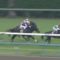 【競馬/菊花賞】菊花賞にエタリオウのペースメーカーが登録してるんだけど…