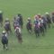 【競馬/皐月賞】ワグネリアン福永wwwwww