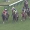 【競馬/阪神牝馬S】ソウルのオッズ3倍とかお前ら下手すぎwwwwww → 【レース後】