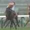 【競馬/阪神牝馬S】1000m通過67秒2wwwwwwww