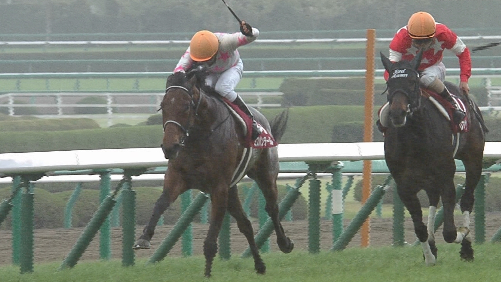 【競馬/ヴィクトリアM】昆調教師「横山典は昔から日本人で一番凄い人だと思っていた。」
