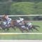 【競馬/NHKマイルC】プリモシーン戸崎さん、完全に出遅れて５着