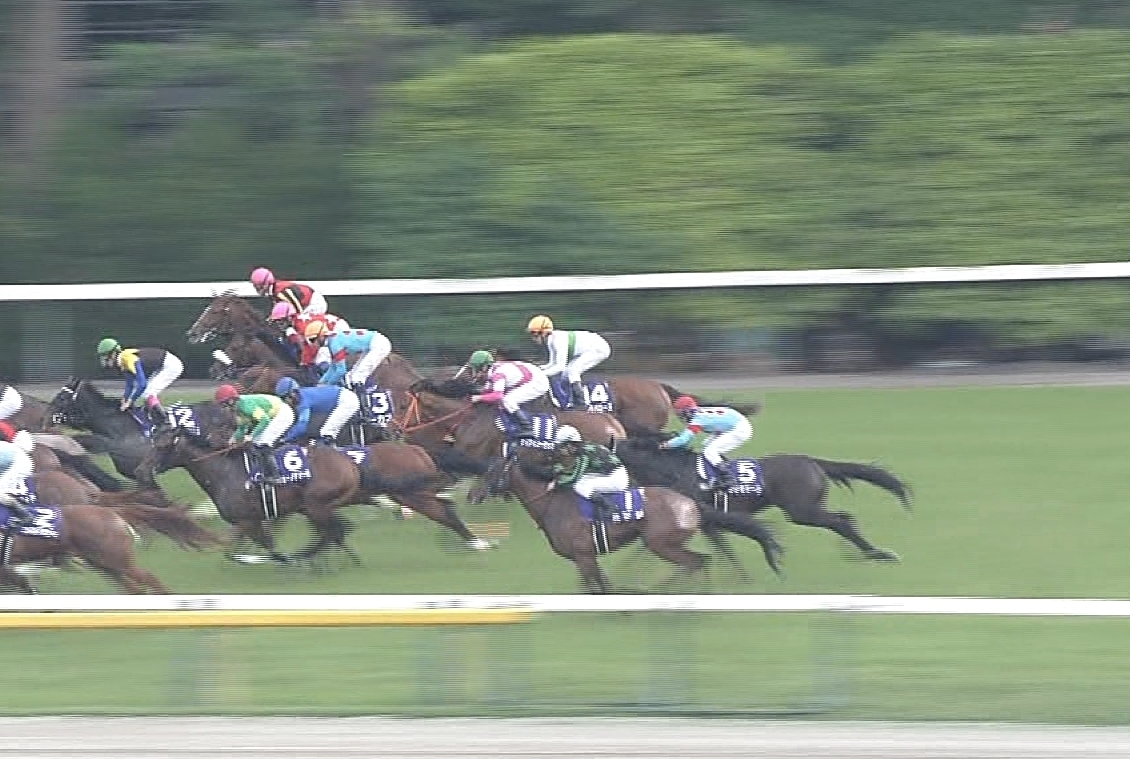 【競馬/NHKマイルC】プリモシーン戸崎さん、完全に出遅れて５着