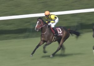 【競馬/京都新聞杯】ステイフーリッシュ、1000m58.5の二番手から抜け出し圧勝ｗｗｗ