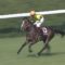 【競馬/京都新聞杯】ステイフーリッシュ、1000m58.5の二番手から抜け出し圧勝ｗｗｗ