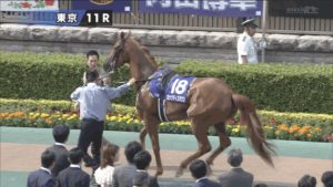 【競馬】どう考えてもロックディスタウンはパドックで負傷してたのに強引に出走させたJRAの功罪 【競馬】どう考えてもロックディスタウンはパドックで負傷してたのに強引に出走させたJRAの功罪